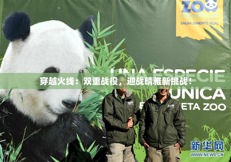 穿越火线：双重战役，迎战晴雅新挑战！