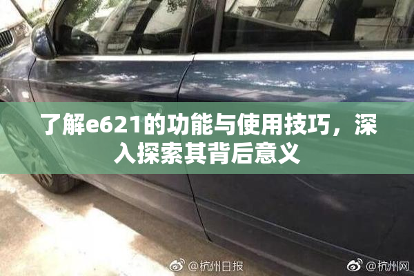 了解e621的功能与使用技巧，深入探索其背后意义