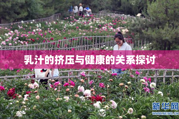 乳汁的挤压与健康的关系探讨