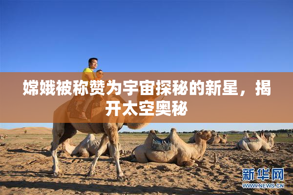 嫦娥被称赞为宇宙探秘的新星，揭开太空奥秘