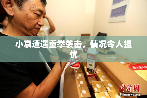 小哀遭遇重拳袭击，情况令人担忧