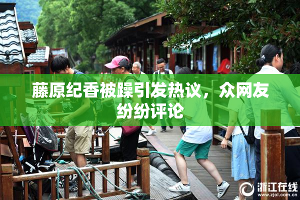 藤原纪香被躁引发热议，众网友纷纷评论
