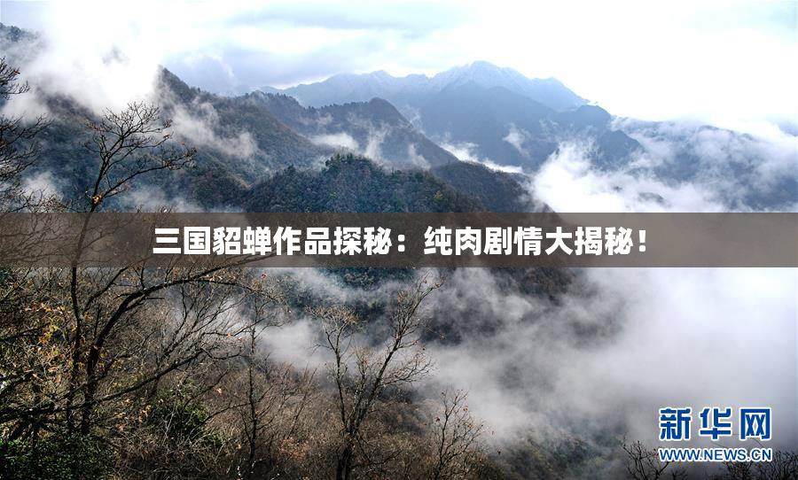 三国貂蝉作品探秘：纯肉剧情大揭秘！