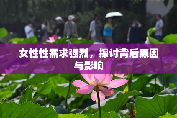 女性性需求强烈，探讨背后原因与影响