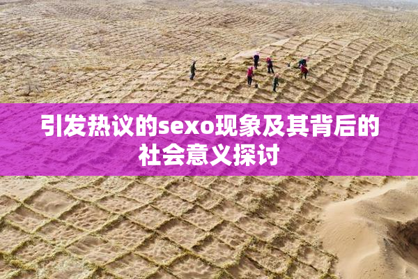 引发热议的sexo现象及其背后的社会意义探讨