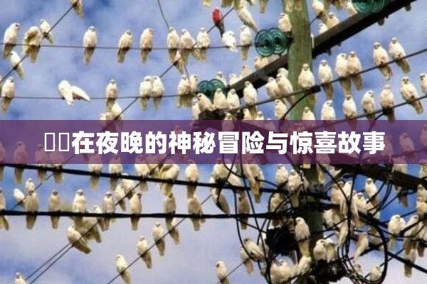 妺妺在夜晚的神秘冒险与惊喜故事