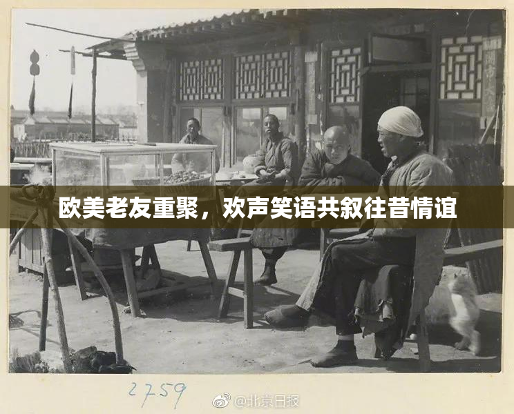 欧美老友重聚，欢声笑语共叙往昔情谊
