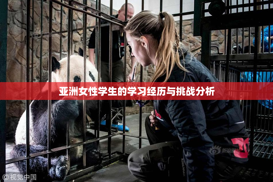 亚洲女性学生的学习经历与挑战分析