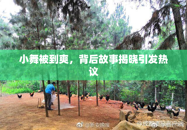小舞被到爽，背后故事揭晓引发热议