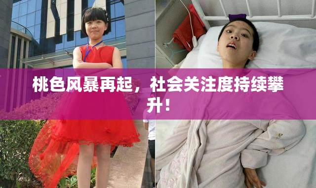 桃色风暴再起，社会关注度持续攀升！