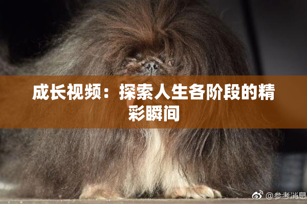 成长视频：探索人生各阶段的精彩瞬间