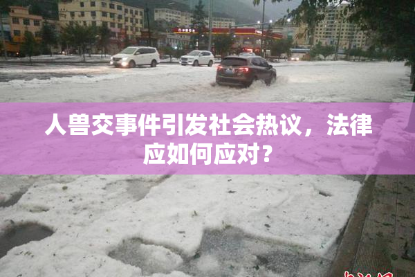 人兽交事件引发社会热议，法律应如何应对？