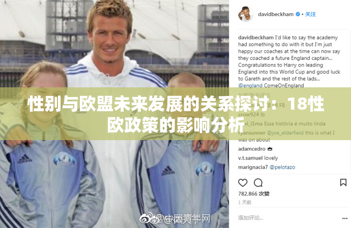 性别与欧盟未来发展的关系探讨：18性欧政策的影响分析
