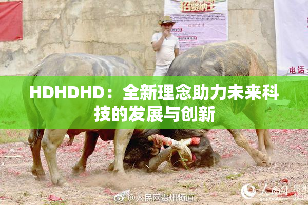 HDHDHD：全新理念助力未来科技的发展与创新