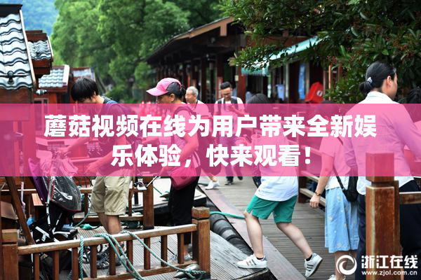 蘑菇视频在线为用户带来全新娱乐体验，快来观看！