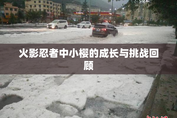 火影忍者中小樱的成长与挑战回顾
