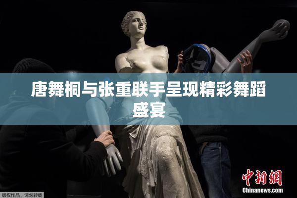 唐舞桐与张重联手呈现精彩舞蹈盛宴