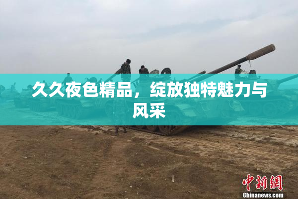 久久夜色精品，绽放独特魅力与风采