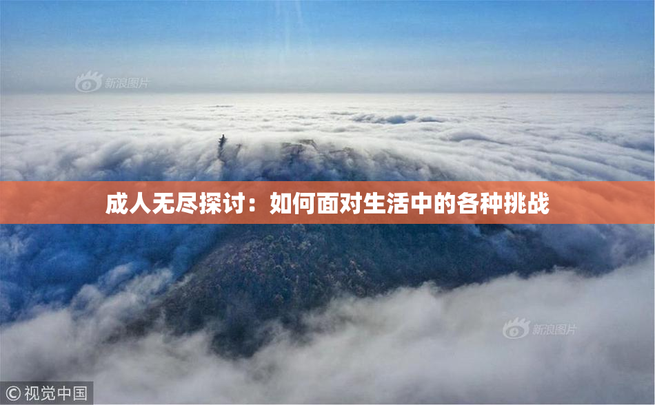 成人无尽探讨：如何面对生活中的各种挑战