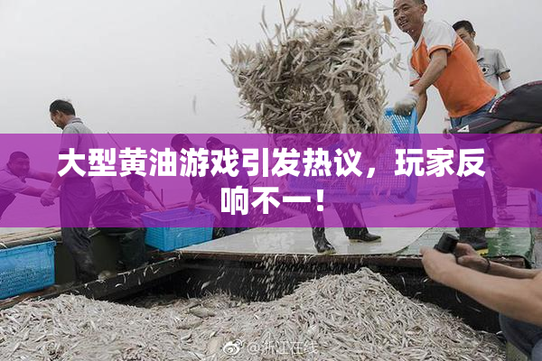大型黄油游戏引发热议，玩家反响不一！