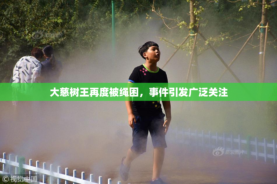 大慈树王再度被绳困，事件引发广泛关注