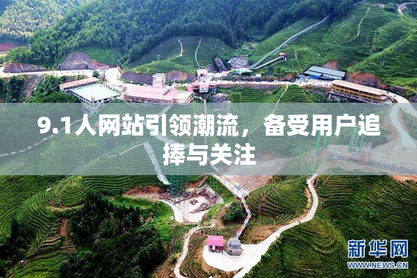 9.1人网站引领潮流，备受用户追捧与关注