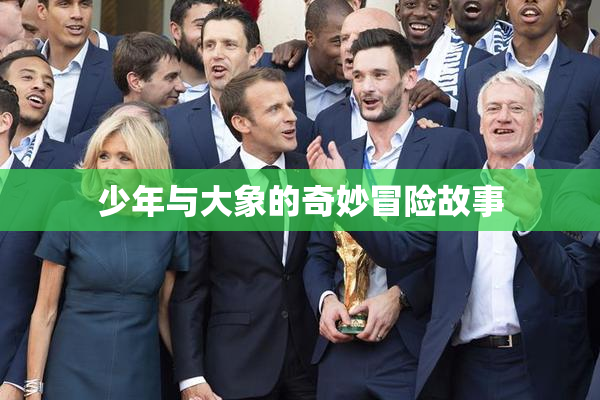 少年与大象的奇妙冒险故事