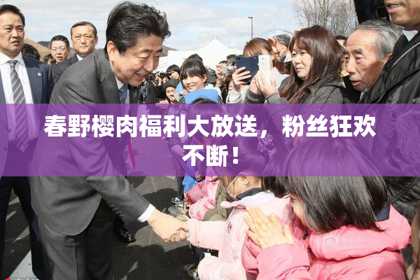 春野樱肉福利大放送，粉丝狂欢不断！