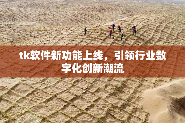tk软件新功能上线，引领行业数字化创新潮流