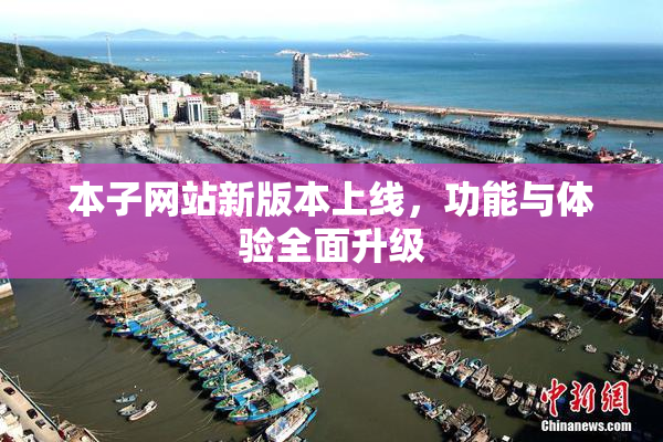 本子网站新版本上线，功能与体验全面升级