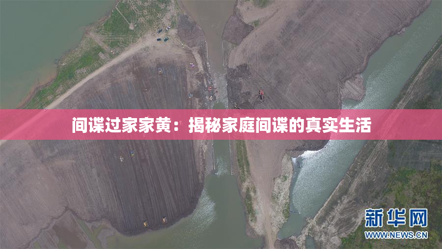 间谍过家家黄：揭秘家庭间谍的真实生活