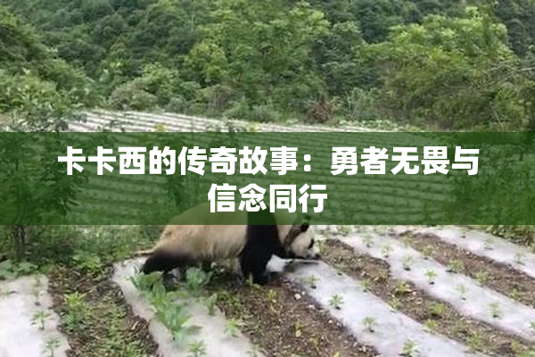 卡卡西的传奇故事：勇者无畏与信念同行