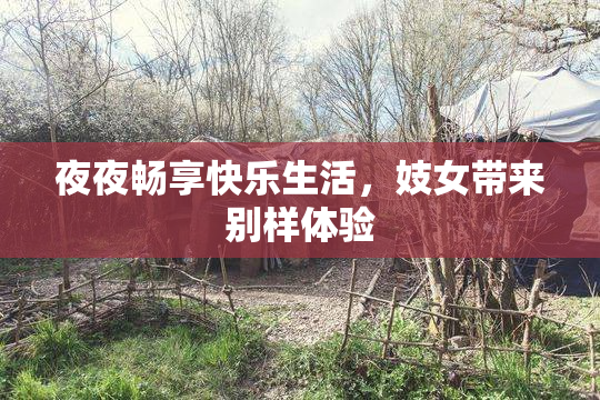 夜夜畅享快乐生活，妓女带来别样体验