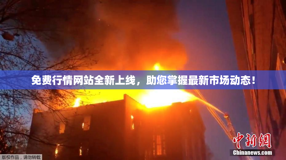 免费行情网站全新上线，助您掌握最新市场动态！