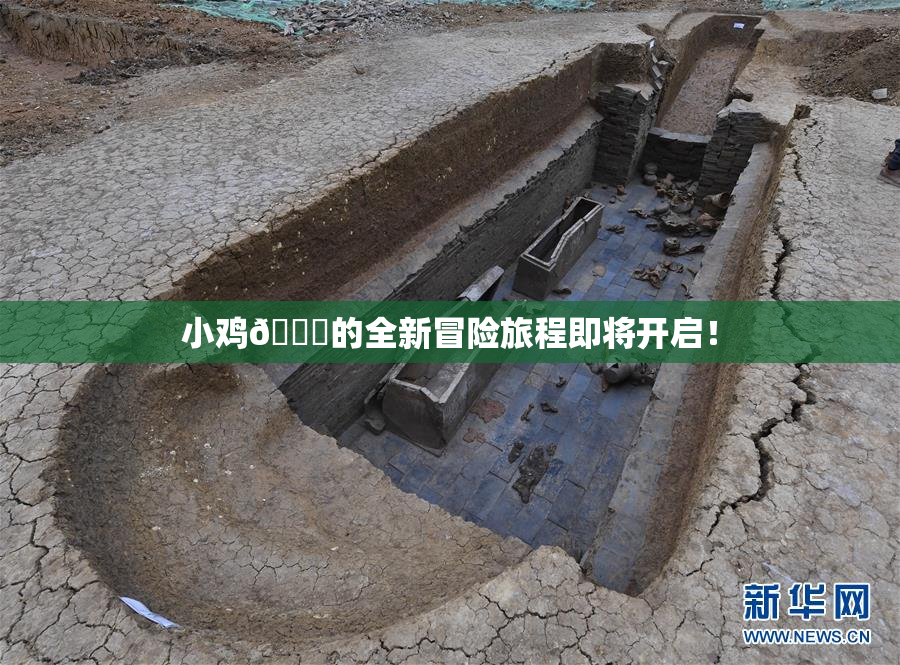 小鸡🐔的全新冒险旅程即将开启！