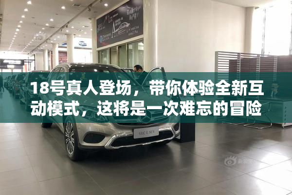 18号真人登场，带你体验全新互动模式，这将是一次难忘的冒险！