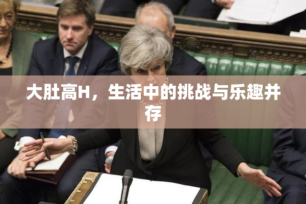 大肚高H，生活中的挑战与乐趣并存