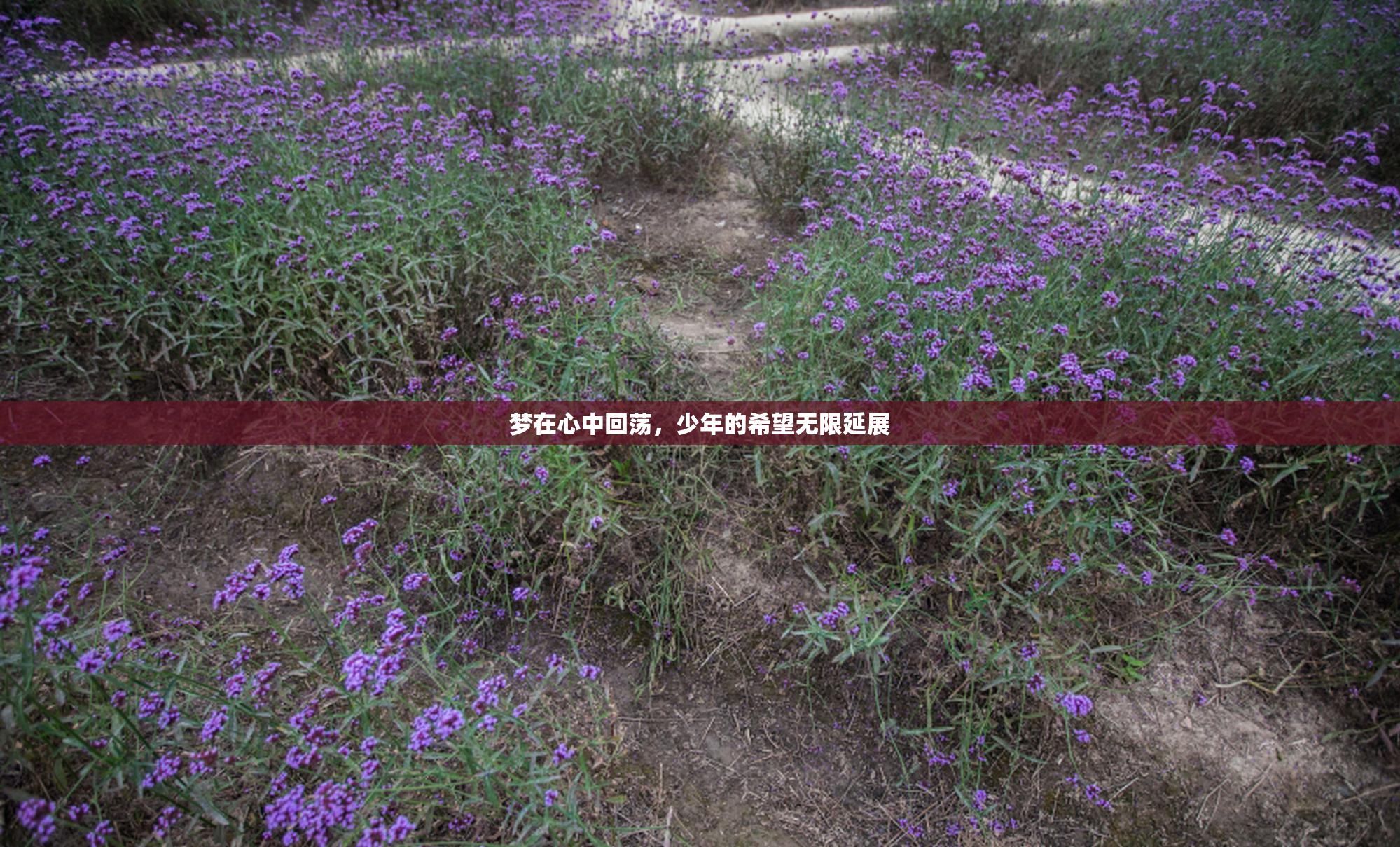 梦在心中回荡，少年的希望无限延展