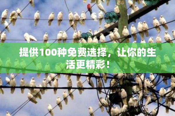 提供100种免费选择，让你的生活更精彩！