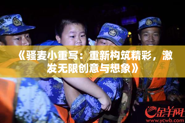 《骚麦小重写：重新构筑精彩，激发无限创意与想象》