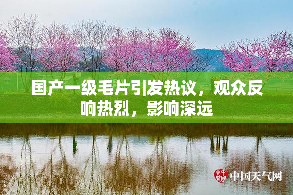 国产一级毛片引发热议，观众反响热烈，影响深远