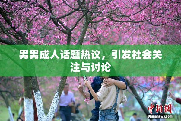 男男成人话题热议，引发社会关注与讨论