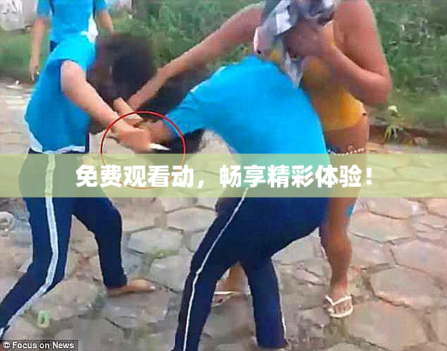 免费观看动，畅享精彩体验！