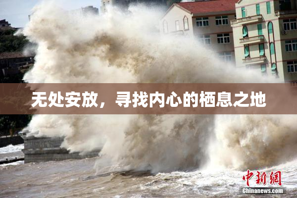 无处安放，寻找内心的栖息之地