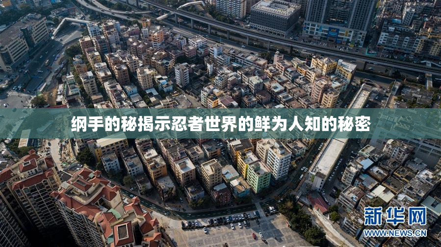 纲手的秘揭示忍者世界的鲜为人知的秘密