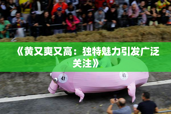 《黄又爽又高：独特魅力引发广泛关注》