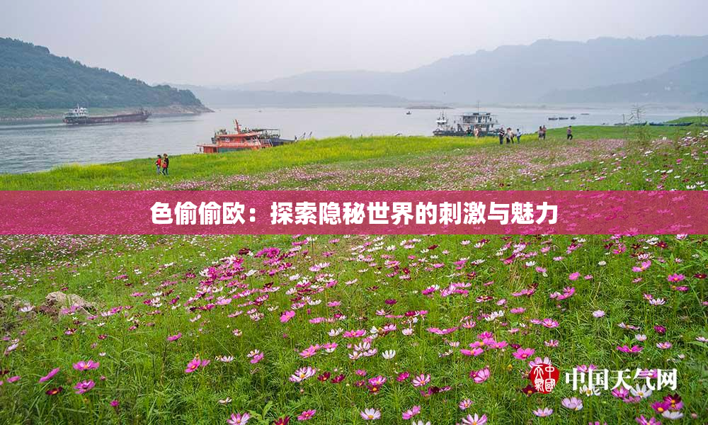 色偷偷欧：探索隐秘世界的刺激与魅力