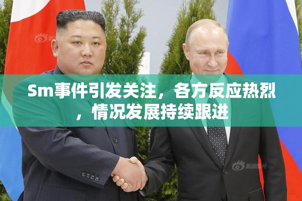 Sm事件引发关注，各方反应热烈，情况发展持续跟进