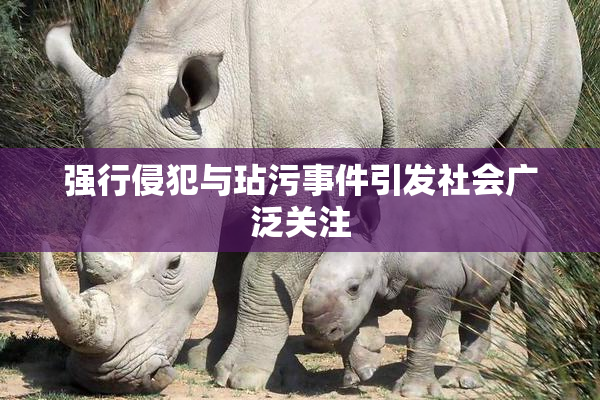 强行侵犯与玷污事件引发社会广泛关注