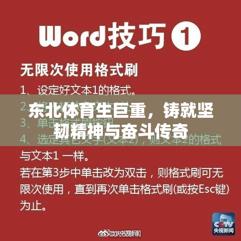 东北体育生巨重，铸就坚韧精神与奋斗传奇